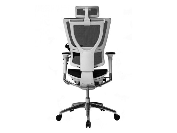 Stella Pro - Image 3