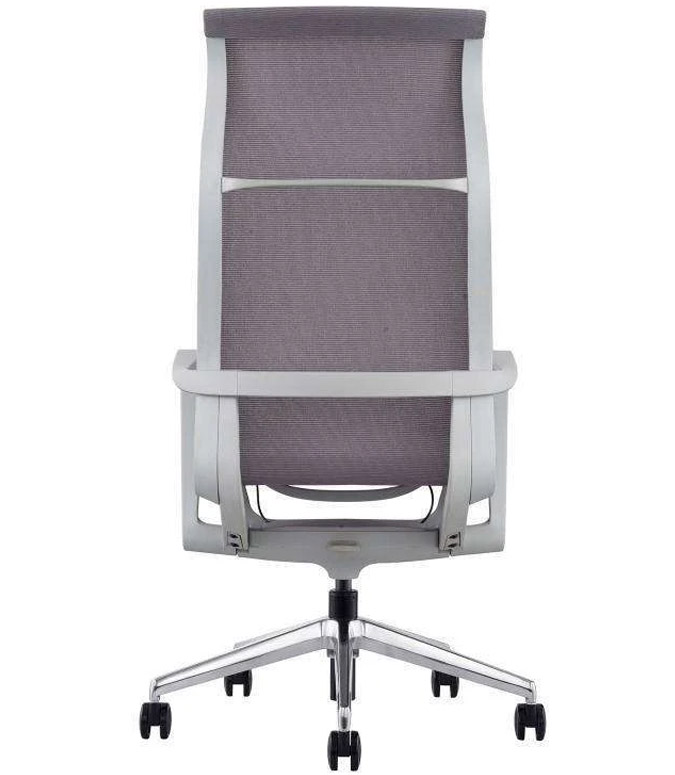 Evolution Alto - Image 3