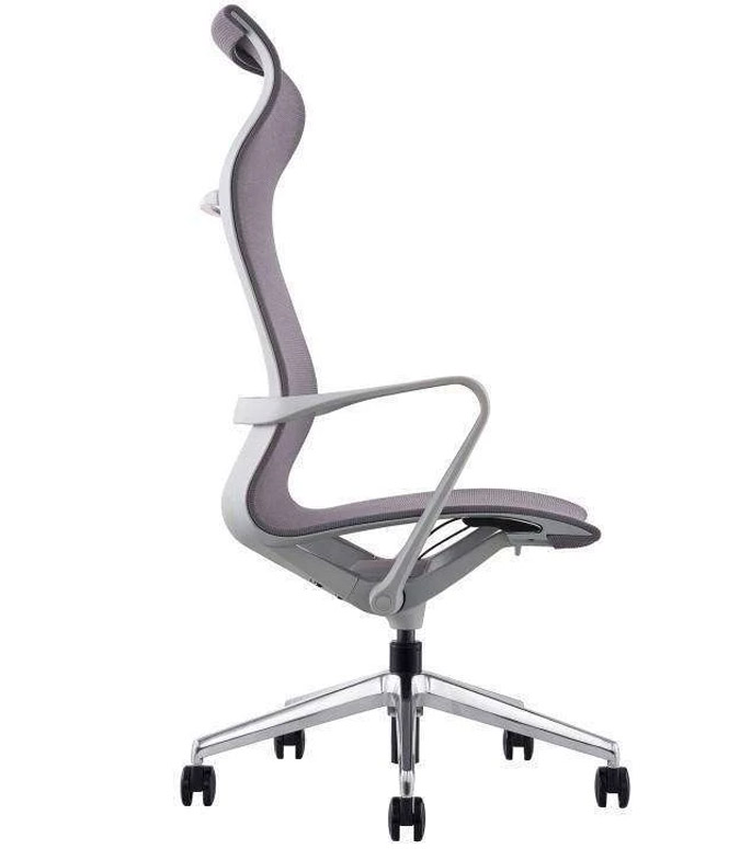 Evolution Alto - Image 2