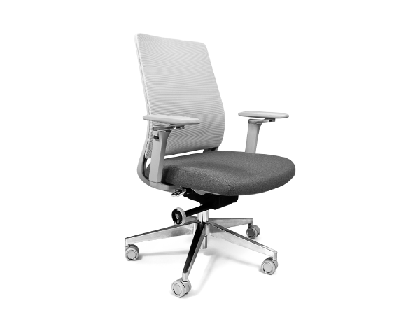 Alfa Ejecutiva Gris
