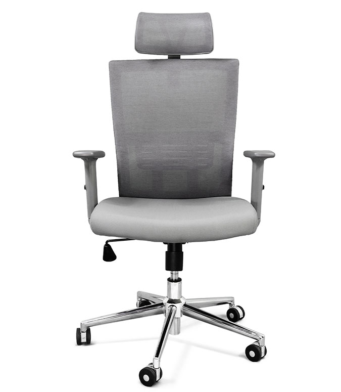 Athenas Gris Cabecera - Image 3