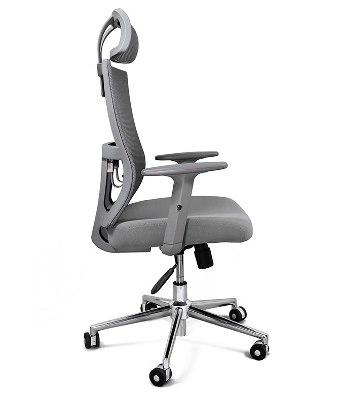 Athenas Gris Cabecera - Image 2